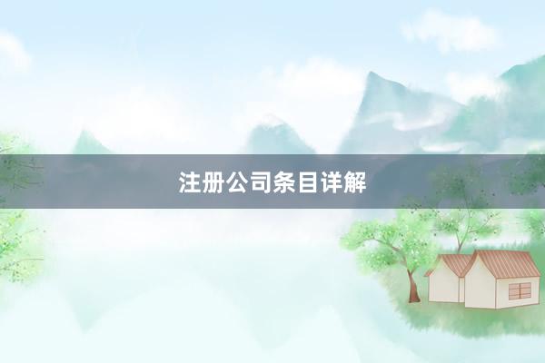 注册公司条目详解
