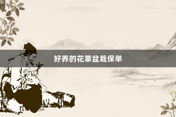 好养的花草盆栽保举