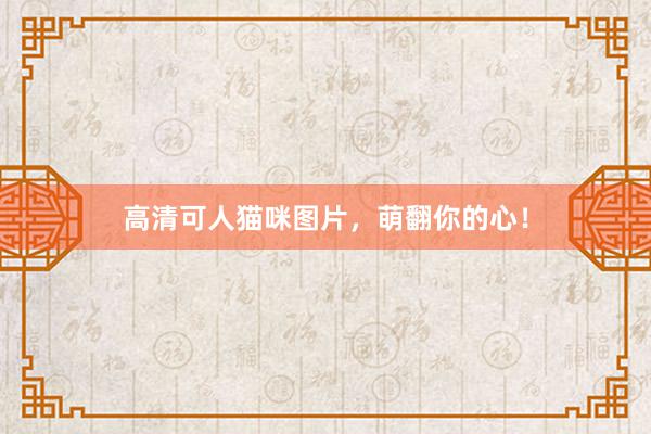 高清可人猫咪图片，萌翻你的心！